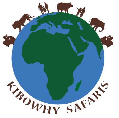 Dreamguy's Technologies